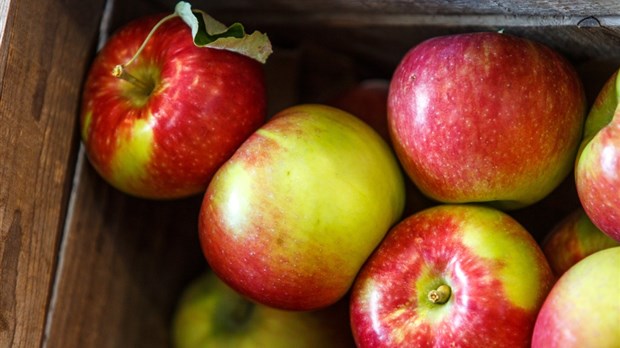 Nouvelle carte interactive: une escapade aux pommes!